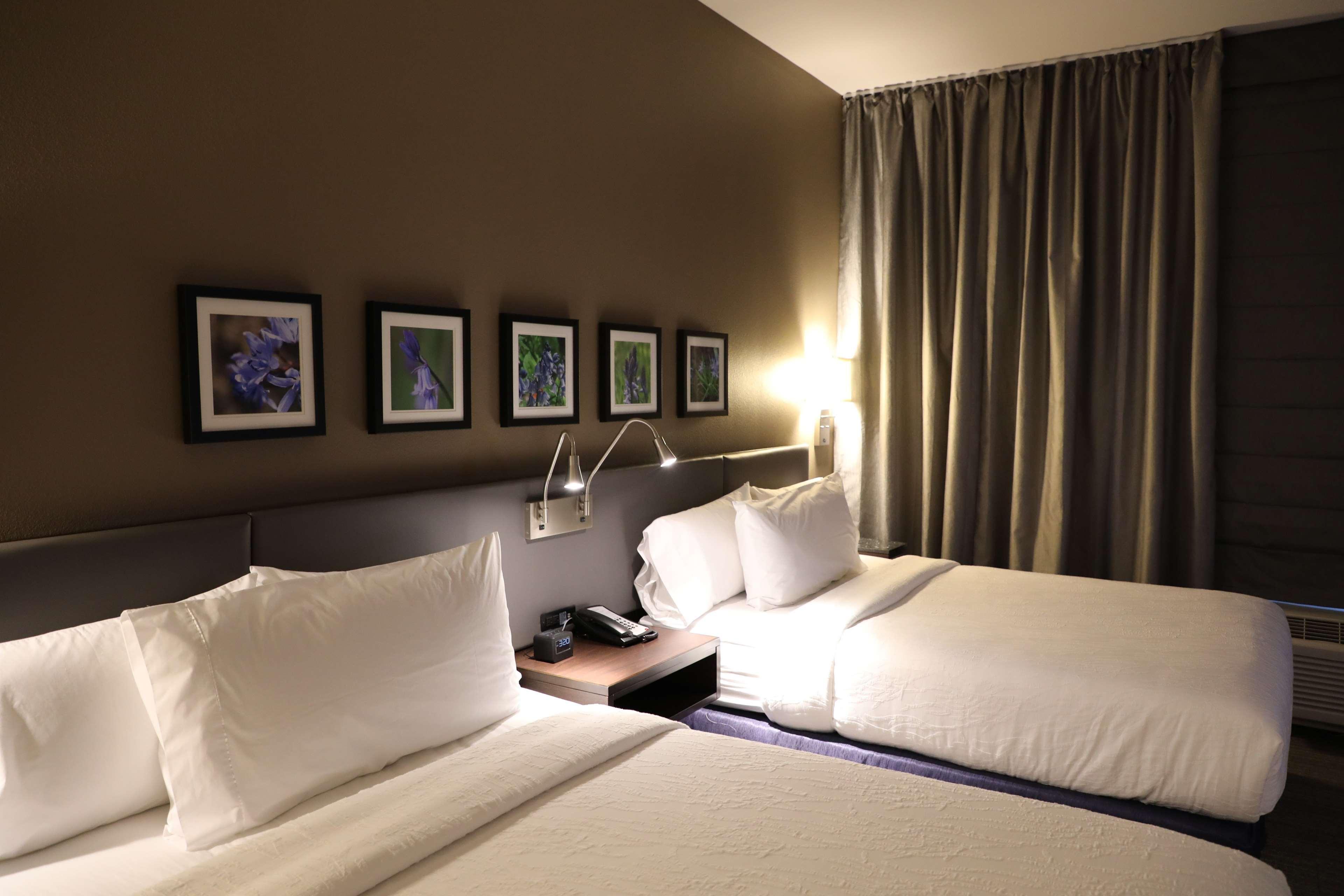 Hilton Garden Inn Austin Airport Esterno foto