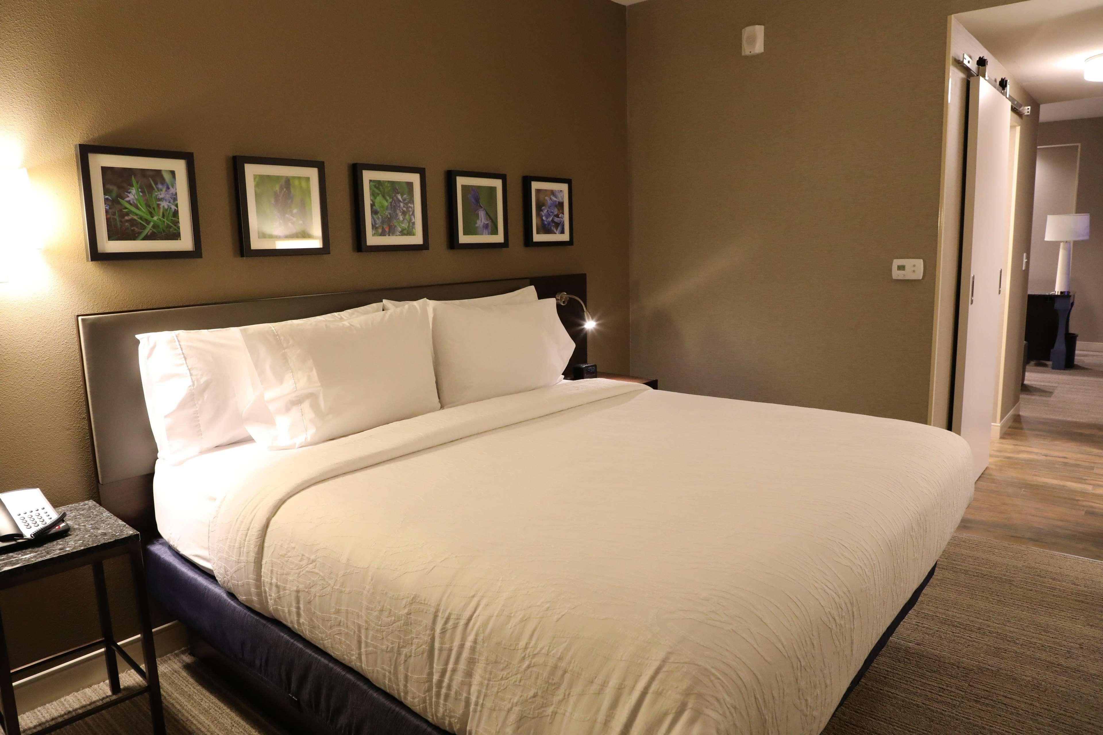 Hilton Garden Inn Austin Airport Esterno foto